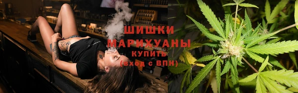 винт Инта