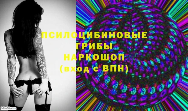 винт Инта