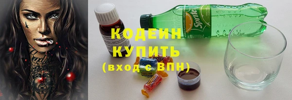 ECSTASY Инсар