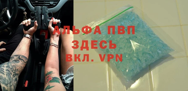 винт Инта
