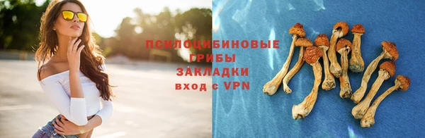 ECSTASY Инсар