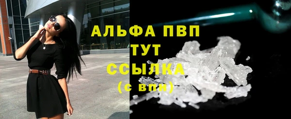 винт Инта