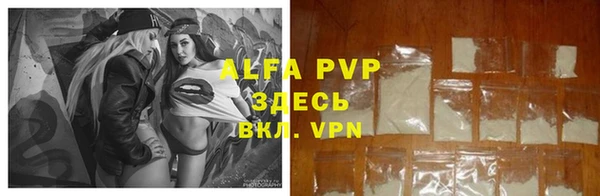 винт Инта