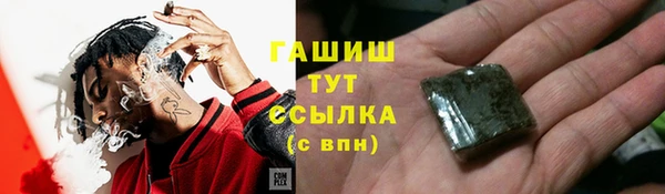 ECSTASY Инсар
