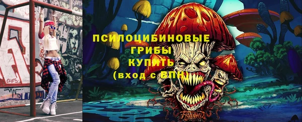 ECSTASY Инсар