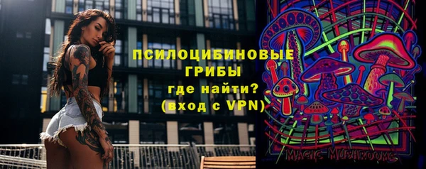 винт Инта