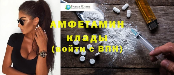 ECSTASY Инсар