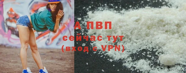 ECSTASY Инсар