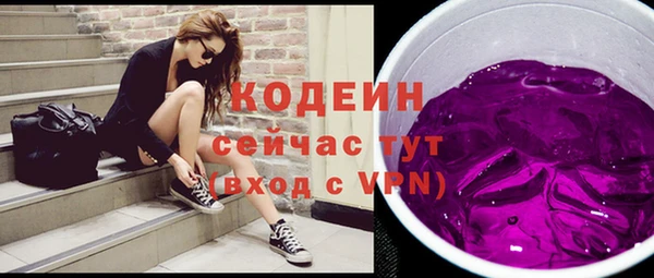 винт Инта